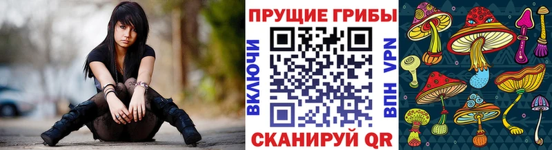 Купить Катайск Галлюциногенные грибы мухоморы